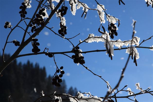 Winterwandern