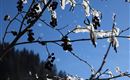 Winterwandern